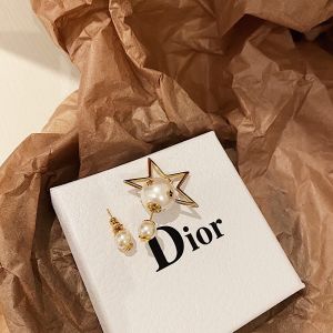 Dior earrings diorjw422-to
