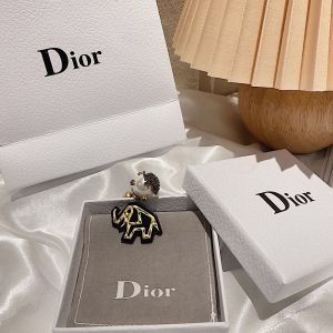 Dior earrings diorjw462-to