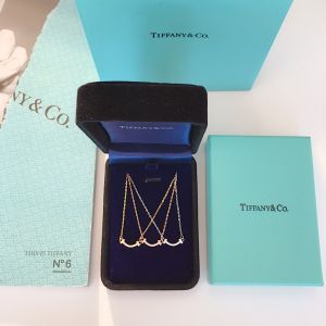 Tiffany n Co. necklace - Mini Smile tifjw527-lx