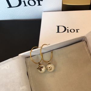 Dior earrings diorjw631-lx