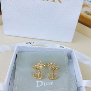 Dior earrings diorjw225