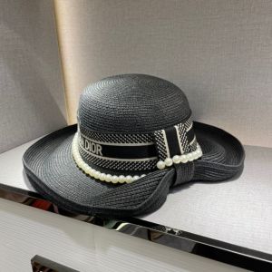 Dior Hat dr099030621-pb