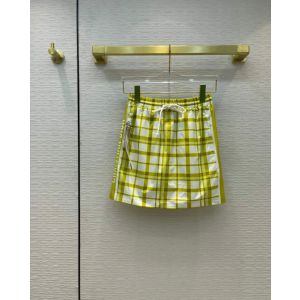 Dior Skirt dioryg269405081b
