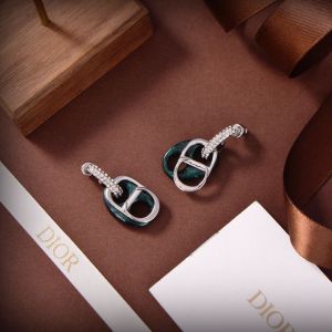 Dior Earrings diorjw285808061-yx
