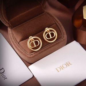 Dior Earrings diorjw261006101-ym