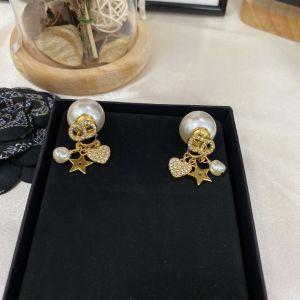 Dior earrings diorjw1412-cs