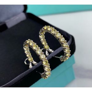 Tiffany n Co. Earrings - Big tifjw228604171b-cs