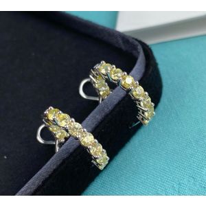 Tiffany n Co. Earrings - Small tifjw228704171b-cs