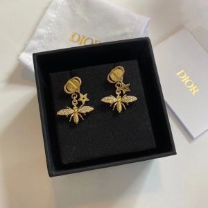 Dior earrings diorjw816-8s