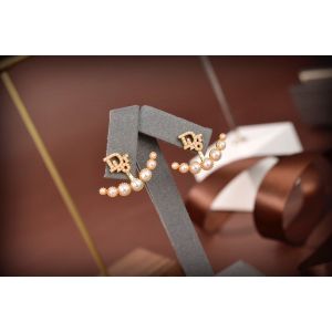 Dior Earrings diorjw1776-cs