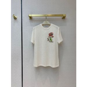 Dior T-shirt dioryg183402221
