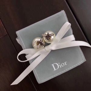 Dior earrings diorjw898-lz