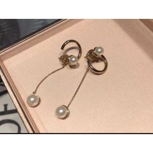 Dior earrings diorjw970-8s