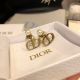 Dior earrings diorjw716-lx