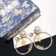 Dior earrings diorjw415-lx