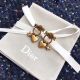 Dior earrings diorjw484-lx