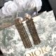 Dior earrings diorjw629-lx