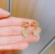 Dior earrings diorjw223