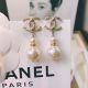 Chanel earrings ccjw207
