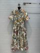 Dior Vessel Dress diorxx7079111123a