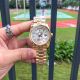 Rolex Watches rxww10300807b