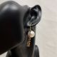 Dior Earrings E1139 diorjw255805311-cs