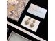 Dior earrings diorjw1317-cs