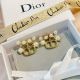 Dior Earrings AA252 diorjw308812031-cs