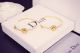 Dior Earrings - Rose Des Vents diorjw309012021-cs