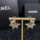 Chanel Earrings ccjw217204071-cs E1189