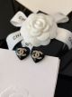 Chanel Earrings ccjw3788021323-mn