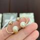 Dior earrings diorjw1383-zq