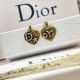 Dior Earrings AA644 diorjw261506101-ym