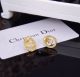 Dior earrings diorjw1393-cs