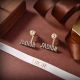 Dior Earrings - J'adior diorjw276507121-yx