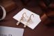 Dior Earrings diorjw1688-lz