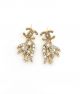 Chanel Earring ccjw266806161-ym