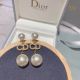 Dior earrings diorjw823-8s