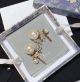 Dior earrings diorjw1154-8s