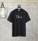 Dior T-shirt diorbl218803181b