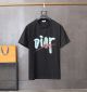 Dior T-shirt diorbl219503161a