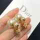 Dior earrings diorjw833-mn
