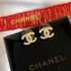 Chanel Earrings AA356 ccjw3635100322-cs