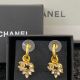 Chanel Earrings E2020 ccjw3644100522-cs