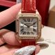 Cartier Santos-Dumont Watches carzy02371009