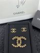 Chanel Earrings / Chanel Brooch A373 ccjw3174010522-cs