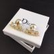 Dior Earrings diorjw3440062422-cs