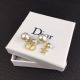 Dior Earrings diorjw3443062122-cs