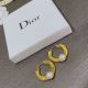 Dior Earrings B729 diorjw3454061222-cs