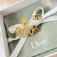 Dior Earrings - J'adior AA405 diorjw3456061022-cs